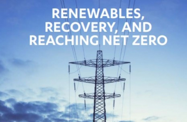 Falling cost of renewables strengthens case for accelerating deployment, says NIC report.